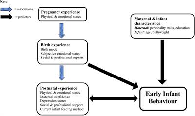 Physical and Psychological Childbirth Experiences and Early Infant Temperament